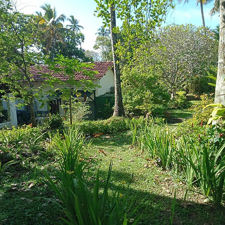 Freedom192 Hotel Weligama Luaran gambar