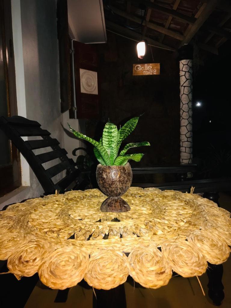 Freedom192 Hotel Weligama Luaran gambar