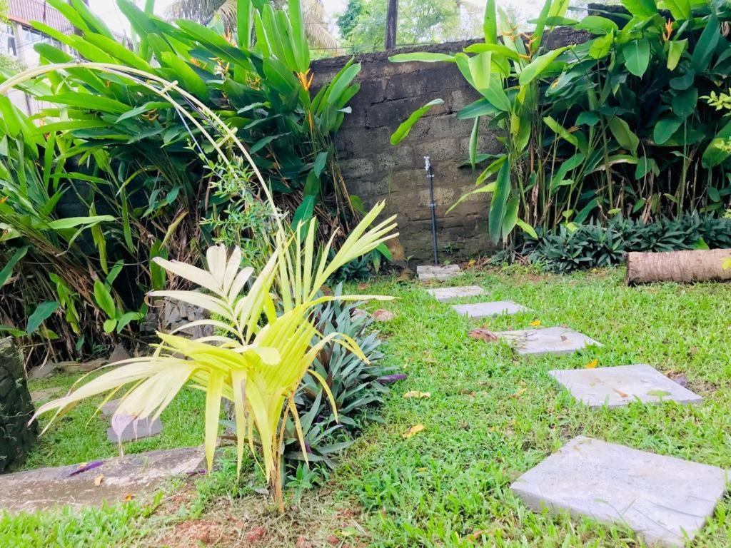 Freedom192 Hotel Weligama Luaran gambar